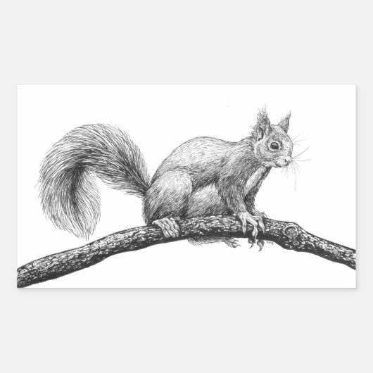 リススケッチ 長方形シール (正面)