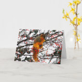 リススノーレッドベリーツリーフォト誕生日 カード (黄色い花)