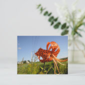 リスティグレ ポストカード (スタンド正面)