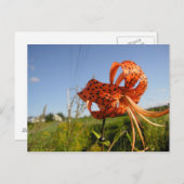 リスティグレ ポストカード (正面/裏面)