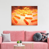 リステリア・モノサイトゲネスの顕微鏡的見解1 キャンバスプリント (インサイチュ (リビング))