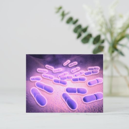 リステリア・モノサイトゲネスの顕微鏡的見解2 ポストカード (スタンド正面)