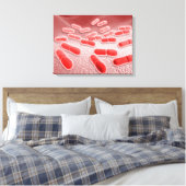 リステリア・モノサイトゲネスの顕微鏡的見解4 キャンバスプリント (インサイチュ (寝室))