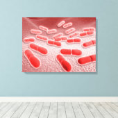 リステリア・モノサイトゲネスの顕微鏡的見解4 キャンバスプリント (インサイチュ (ウッドフロア))