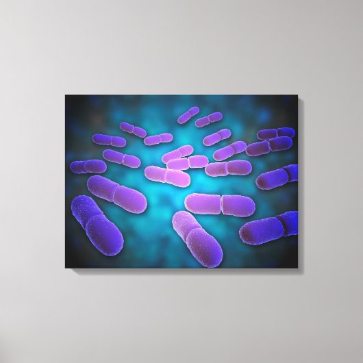 リステリア・モノサイトゲネスの顕微鏡的見解5 キャンバスプリント (正面)