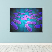 リステリア・モノサイトゲネスの顕微鏡的見解5 キャンバスプリント (インサイチュ (ウッドフロア))