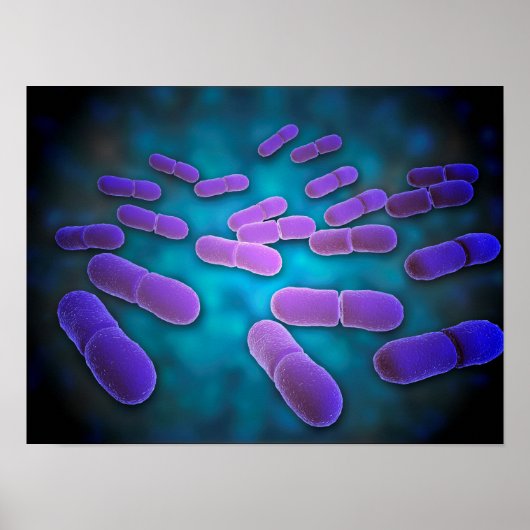 リステリア・モノサイトゲネスの顕微鏡的見解5 ポスター (正面)