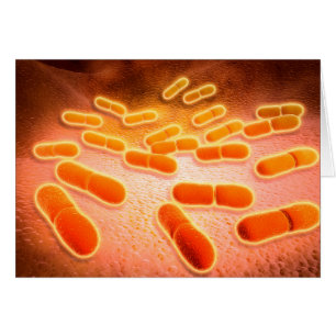リステリアMonocytogenes 1の顕微鏡の概観