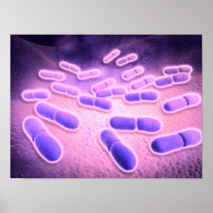 リステリアMonocytogenes 2の顕微鏡の概観 ポスター