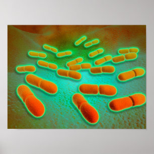 リステリアMonocytogenes 3の顕微鏡の概観 ポスター