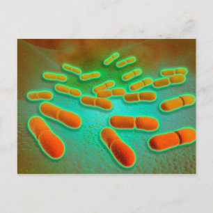 リステリアMonocytogenes 3の顕微鏡の概観 ポストカード
