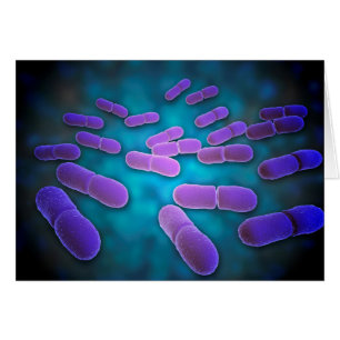 リステリアMonocytogenes 5の顕微鏡の概観