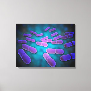 リステリアMonocytogenes 5の顕微鏡の概観 キャンバスプリント