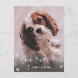 リストいけな、Santa I Can Explain Christmas Photo ポストカード