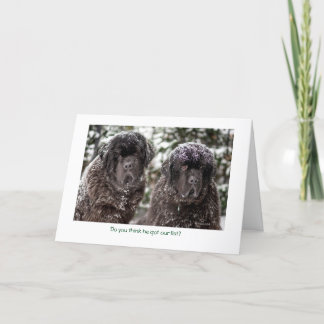 リストに…ずっと私達はしてよいです! シーズンカード