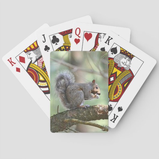 リストランプ トランプ (裏面)