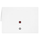 リスフランスのルアーティスト (裏面横)