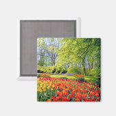 リスホーランド，ケウケンホフガーデンズ マグネット (正面/裏面)