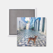 リスボンパピーの通りビューポルトガル写真 マグネット (正面/裏面)