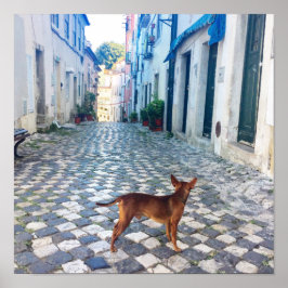 リスボン・アルファマ犬の建築の写真 ポスター