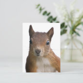 リスポートレートはがき ポストカード (スタンド正面)