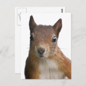 リスポートレートはがき ポストカード (正面/裏面)