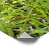 リスポートレート ポスター (角)