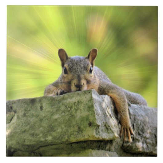 リスリラックスル タイル (正面)