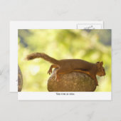 リスリラックスル ポストカード (正面/裏面)