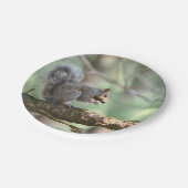 リスレルインフォレスト紙プレート ペーパープレート (アングル)