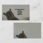 リス予測できなル 名刺 (正面/裏面)