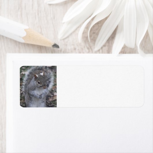 リス住所 シール (インサイチュ)