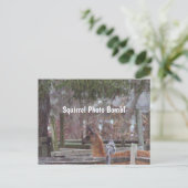 リス写真爆弾はがき ポストカード (スタンド正面)