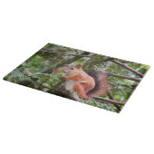 リス写真 カッティングボード (角)