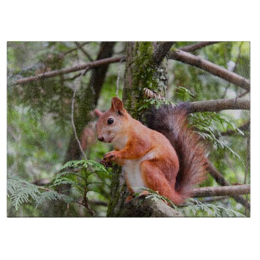 リス写真 カッティングボード (正面)