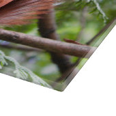 リス写真 カッティングボード (角)