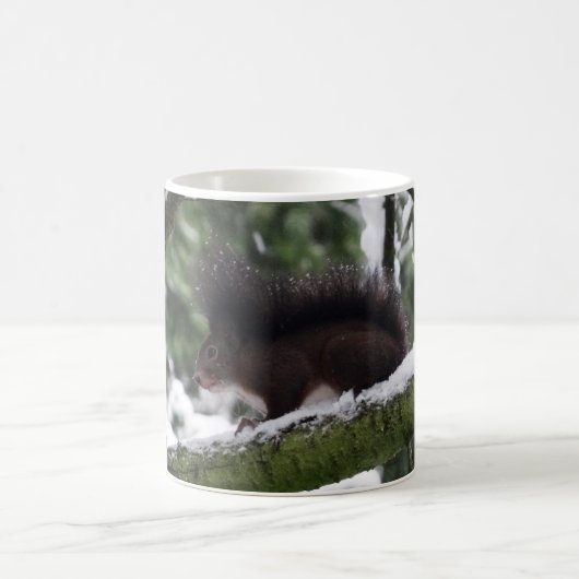 リス冬の写真クラシックマググ コーヒーマグカップ (中央)