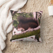 リス冬フォトスロークッション41 x 41 cm クッション (ブランケット)