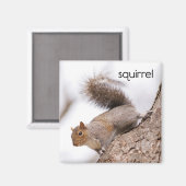 リス冷蔵庫磁石 マグネット (正面/裏面)