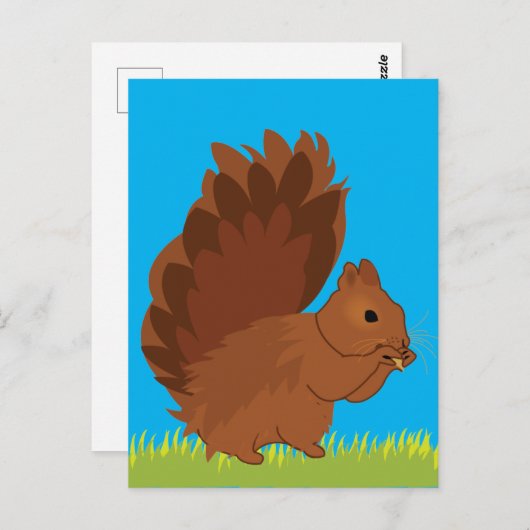 リス動物齧歯動物 ポストカード (正面/裏面)