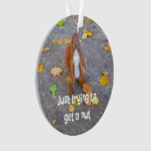 リス単にナットを取得しようとしているだけ オーナメント (正面)