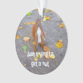 リス単にナットを取得しようとしているだけ オーナメント (正面)