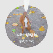 リス単にナットを取得しようとしているだけ オーナメント (正面)