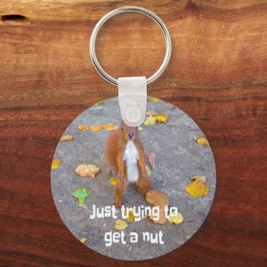 リス単にナットを取得しようとしているだけ キーホルダー (正面)
