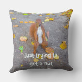 リス単にナットを取得しようとしているだけ クッション (裏面)