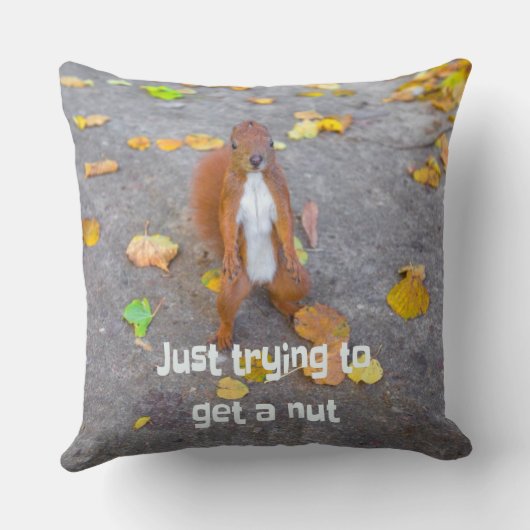 リス単にナットを取得しようとしているだけ クッション (裏面)