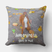 リス単にナットを取得しようとしているだけ クッション (正面)