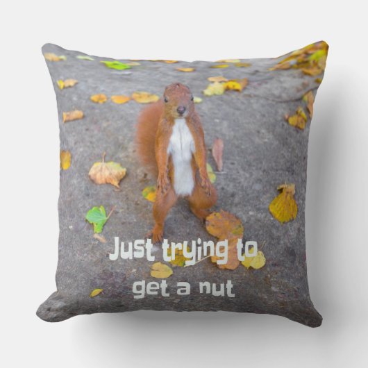 リス単にナットを取得しようとしているだけ クッション (正面)