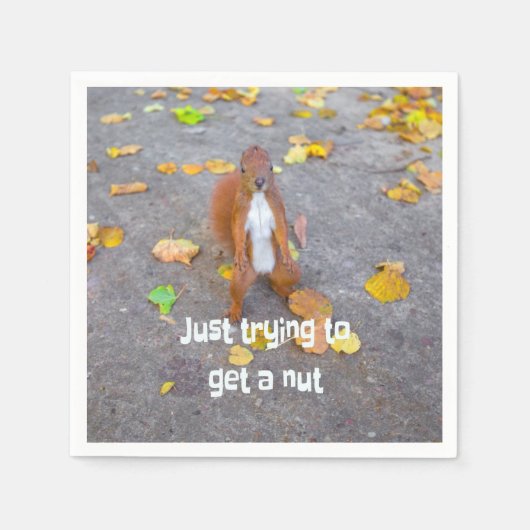 リス単にナットを取得しようとしているだけ スタンダードカクテルナプキン (正面)