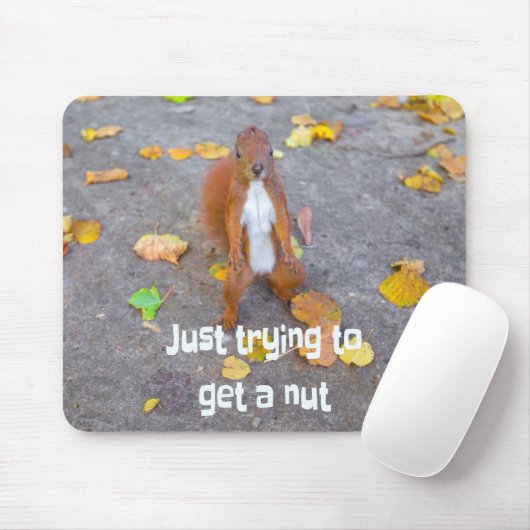 リス単にナットを取得しようとしているだけ マウスパッド (マウス)